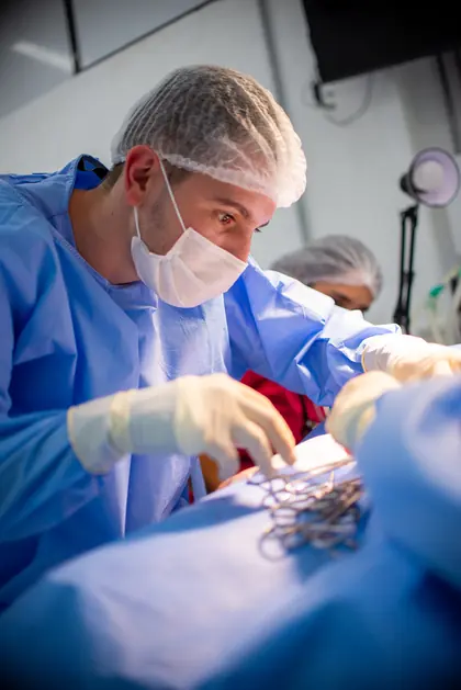 Procedimento cirúrgico veterinário em andamento